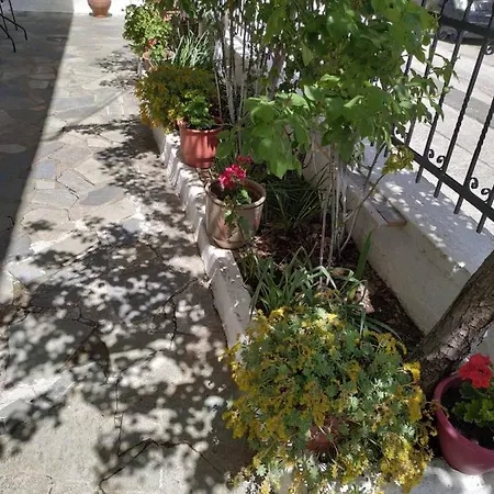 Chrysanty'S Tea House Apartment Kalambaka Exterior photo