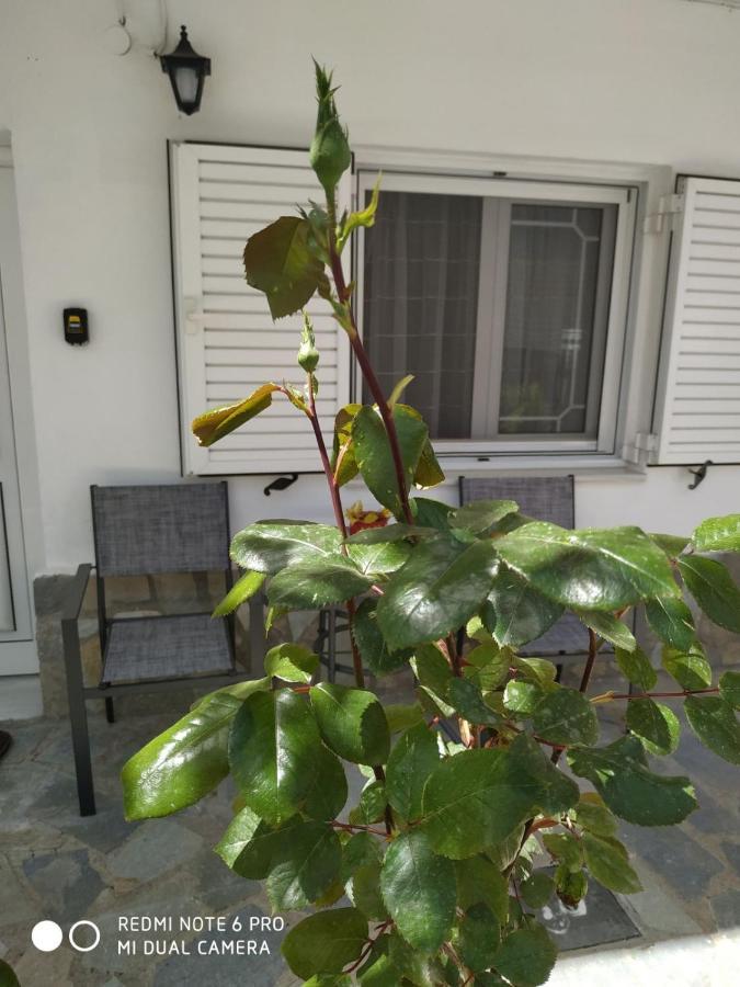 Chrysanty's Tea House Kalambaka
