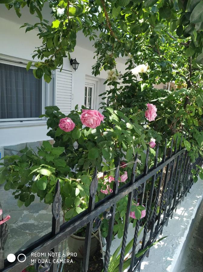 Apartment Chrysanty's Tea House Kalambaka
